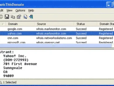 Whois Domain