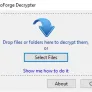 CryptoForge Decrypter - File Decryption Tool
