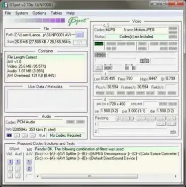 GSpot - Check for Missing Codecs