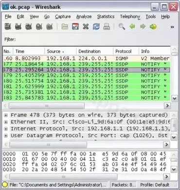 Wireshark - Network Protocol Analyzer