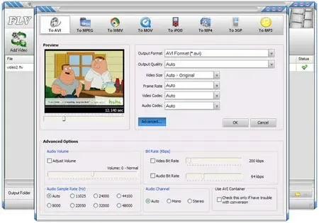 Portable FLV Converter Screenshot