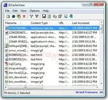 screenshot-of-iecacheview-internet-explorer-cache-viewer