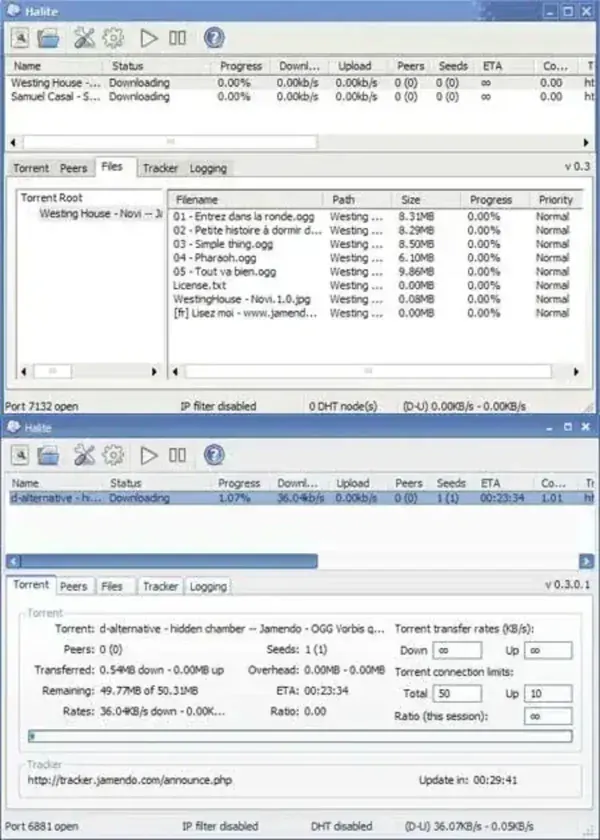Screenshot of Halite - Portable Torrent Screenshot of Halite - Portable Torrent