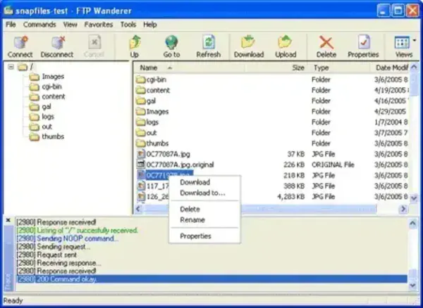 FTP Wanderer Screenshot