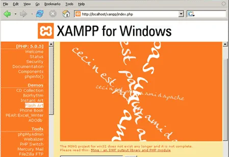 XAMPP Portable Web Server